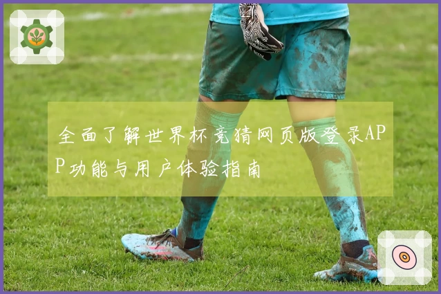 全面了解世界杯竞猜网页版登录APP功能与用户体验指南