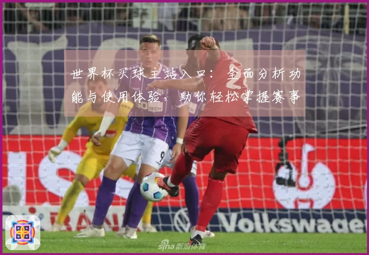 世界杯买球主站入口：全面分析功能与使用体验，助你轻松掌握赛事动态